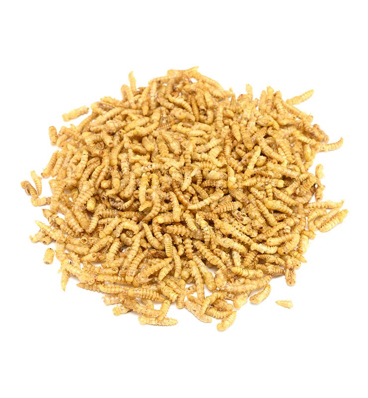 Dried mealworms Dried mealworms_Qingdao Sino Crown Biological
